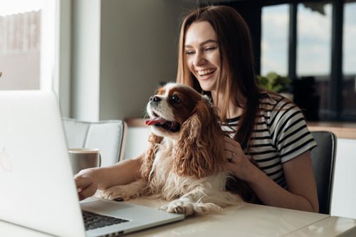 female-owner-sitting-at-laptop-with-brown-and-white-dog-in-her-lap